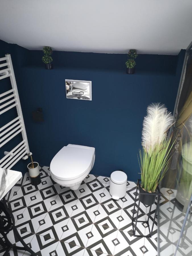 Apartament Ivy Boutique Braszów Zewnętrze zdjęcie